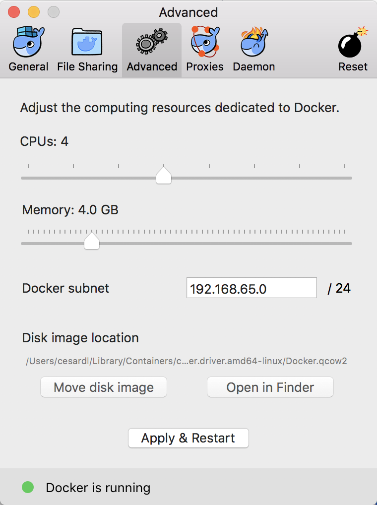 connect docker for mac container to internet